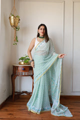 Hand Brush Painted Chiffon Saree with Blouse